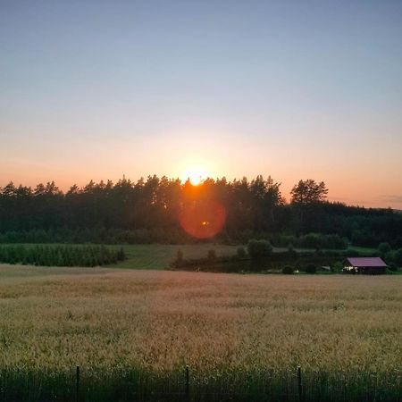 Agroturystyka U Kasi Suryty 외부 사진