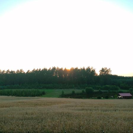 Agroturystyka U Kasi Suryty 외부 사진