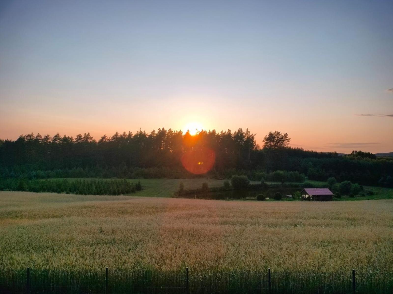 Agroturystyka U Kasi Suryty 외부 사진