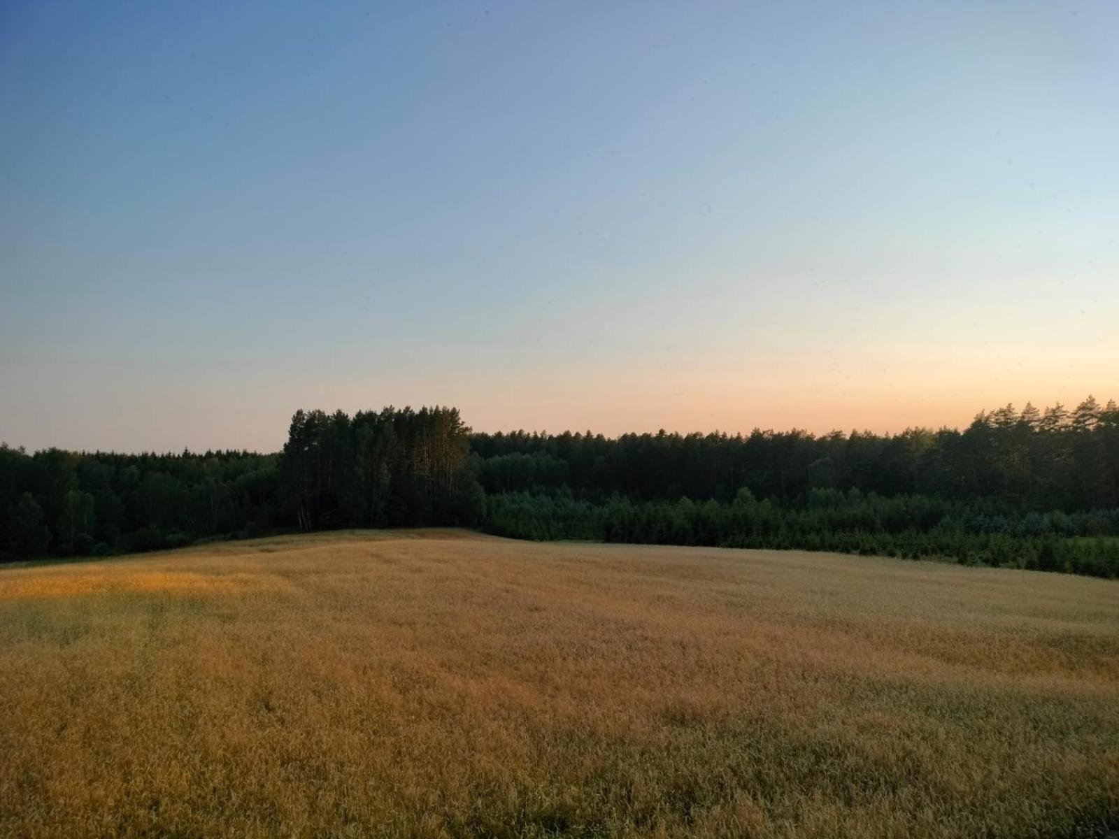 Agroturystyka U Kasi Suryty 외부 사진